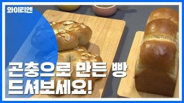 이제 이걸로 고기밥상이 대체될듯 - 영성지식 마이너 갤러리
