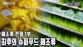 육상에서 해조류 양식 ㄷ - 판타지 갤러리