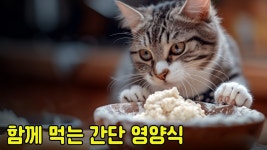 네이버 인플루언서 [네이버 인플루언서] 고양이랑 같이 먹을 수 있는 간단 집밥 만들기