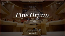 출근길에 부아센앞에 한참 서있었다 ㅋㅋ - 도이치 그라모폰 마이너 갤러리