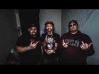 Intro - Rare Doozy | Shazam Intro - Rare Doozy