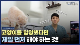 #본동물메디컬센터 - YouTube