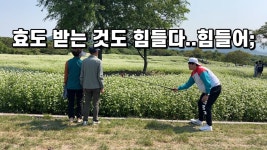 네이버 인플루언서 [네이버 인플루언서] SUB 단순로그306 in Jeju 뭔가 해도 해도 부족한 마음과 아쉬움만 남는 부모님과의 시간 vlog