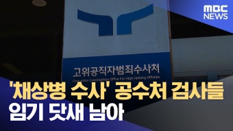 공수처 근황 - 이재명 마이너 갤러리