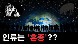 인류가 침팬치와 돼지의 혼종이라니 후후 - 미스터리F 미니 갤러리