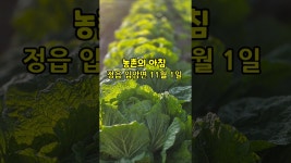 네이버 인플루언서 [네이버 인플루언서] 농촌풍경 이른 아침에 전북 특별자치도 정읍 입암면 봉양리 풀뿌리농장 석성수 #shorts