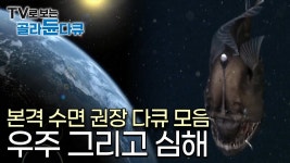 우주 다큐 보는거 좋아하는 사람? - INTJ 마이너 갤러리
