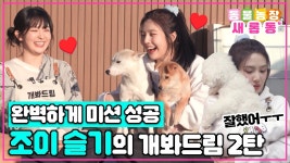 개봐드림 2탄 풀버전 - 슬기 갤러리