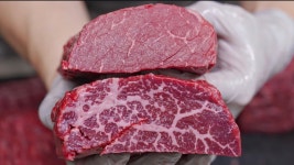 네이버 인플루언서 [네이버 인플루언서] 아무나 가르쳐 주지 않는 한우 우둔 손질&사용법 - 육색과 육질에 따라 육회 or 육사시미로 가능한... 