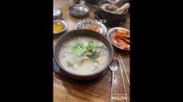 네이버 인플루언서 [네이버 인플루언서] 보라앙마 오늘은 홍대맛집 홍대입구맛집 별천지설농탕에서 갈비탕 도가니탕에 한쟌💜