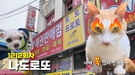 로또 1212회차 자동번호 공유 (월요일 50게임) 1등... 설날 다음에 오나? - YouTube ✂️ 로또 1212회차 자동번호 공유 (월요일 50게임)