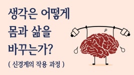 네이버 인플루언서 [네이버 인플루언서] 이태화 작가의 신경가소성