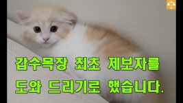 유튜브 영상 통계 - NoxInfluencer  [갑수목장 폭로합니다] 갑수목장의 충격 자백, &quot;내가 사다 죽인 것도 아니고&quot; 를 위한... 