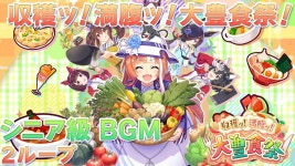 아니 대풍식제 브금 뭔데 이리 웅장하냐 - 우마무스메 프리티 더비 마이너 갤러리