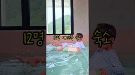 네이버 인플루언서 [네이버 인플루언서] 리틀포레스트는 여기 눈오는날 여기가고싶어 여수키즈풀빌라 소풍 400평독채풀빌라