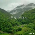 Bedari بیداری - YouTube Bedari بیداری