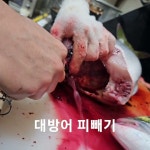 만사형통산오징어 - YouTube 만사형통산오징어