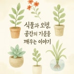 DESING YOUR FORTUNE “공간작가 운채” - YouTube DESING YOUR FORTUNE “공간작가 운채”