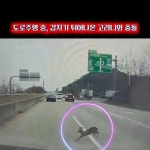 수리대장 그린카 - YouTube 수리대장 그린카