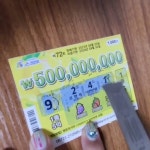 송미 - YouTube 송미