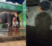 Life With Me Ammus - YouTube Life With Me Ammus