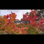 이소소 イソソ - YouTube 이소소 イソソ