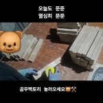 곰무팩토리 - YouTube 곰무팩토리