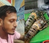 Md Didar Hossain Ltv - YouTube Md Didar Hossain Ltv