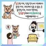 바로퀵물류 - YouTube 바로퀵물류