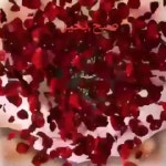 Aleena Saleh - YouTube Aleena Saleh