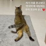 딩가뚠고 - YouTube 딩가뚠고