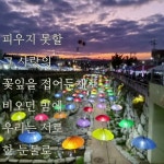 꽃사랑 - YouTube 꽃사랑