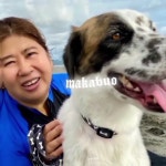 Jordan Bujatin - YouTube Jordan Bujatin