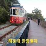 이영우 - YouTube 이영우