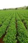 બાપા સીતારામ - YouTube બાપા સીતારામ 