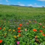 송월당 - YouTube 송월당
