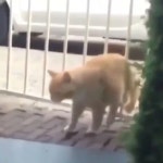 Kingmlbb - YouTube Kingmlbb