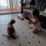 부민행정사무소 - YouTube 부민행정사무소