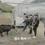 이리네농장 - YouTube 이리네농장