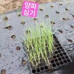 밤개농장 - YouTube 밤개농장