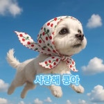 폴리파크노원 - YouTube 폴리파크노원