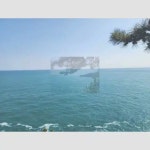 H정미 - YouTube H정미