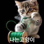 김희자 헤어라인 | 김희자 - YouTube 김희자