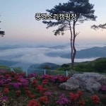 풍경소리캠핑장 - YouTube 풍경소리캠핑장