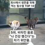 냥냑냑 - YouTube 냥냑냑