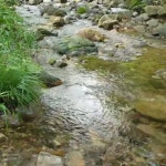 홍천산골놀이터 - YouTube 홍천산골놀이터