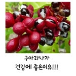 달려라 짱구 - YouTube 달려라 짱구