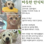 대구앵두네 쉼터 - YouTube 대구앵두네 쉼터