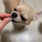 두리두리_DuriDuri - YouTube 두리두리_DuriDuri