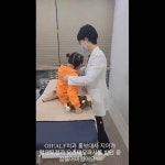 Kyung A Oh - YouTube Kyung A Oh